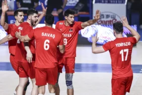 t25_filenin-efeleri-dunya-sam-737