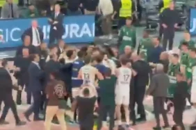 35jj5353j53-14022026ececd78c