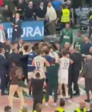 35jj5353j53-14022026ececd78c