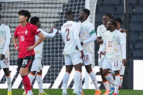 t25_fildisi-sahilinden-guney--271