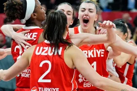 t25_potanin-perileri-japonya--466